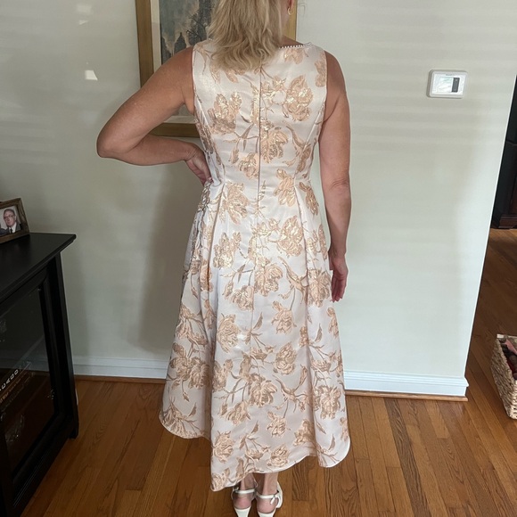 Adrianna Papell High Low Dress in Cream and Tan - Picture 3 of 6